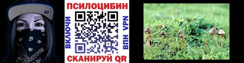 Галлюциногенные грибы мухоморы  Барнаул 