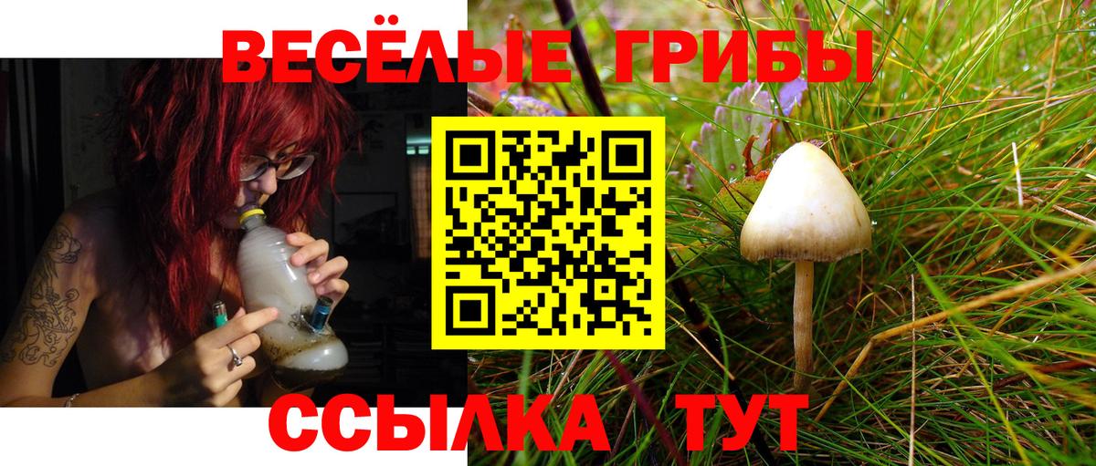 Барнаул  Галлюциногенные грибы Cubensis  Галлюциногенные грибы GOLDEN TEACHER  Вход с VPN 