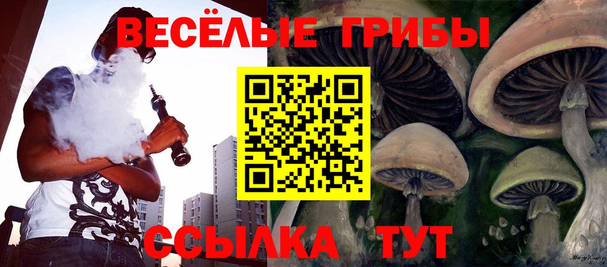 Галлюциногенные грибы прущие грибы Барнаул